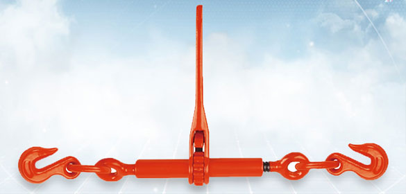 toyohoists.com