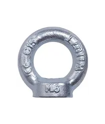 Ring-Nut Din582 Finish