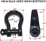 D Ring Shackles CAS Model